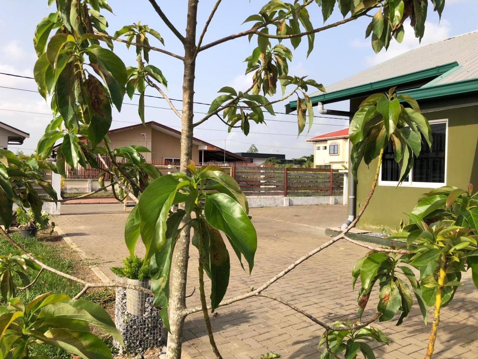 Grapefruitstraat Apartment Парамарибо Екстериор снимка